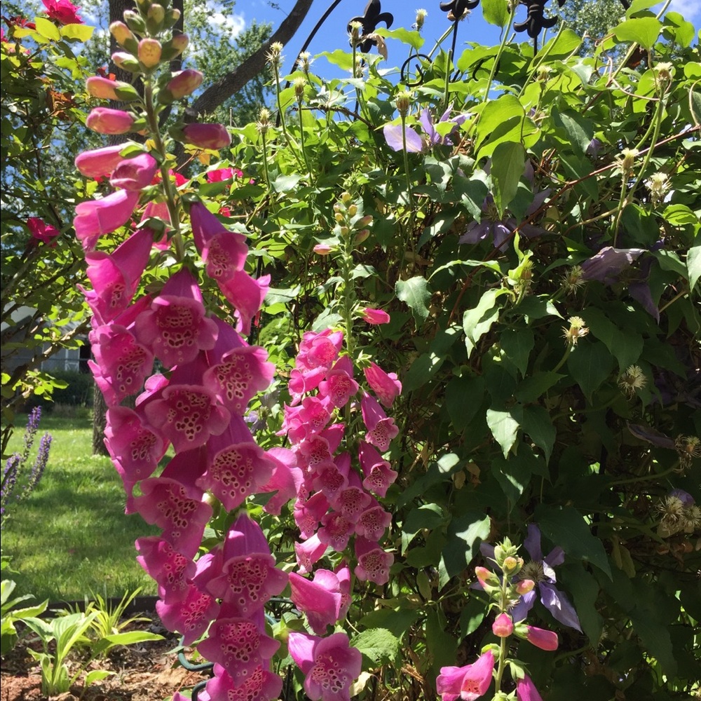 Meet your Posher, R.